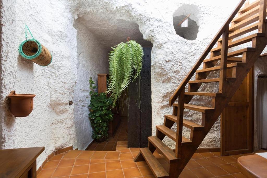 Live Socorro Cave Guimar Exterior photo